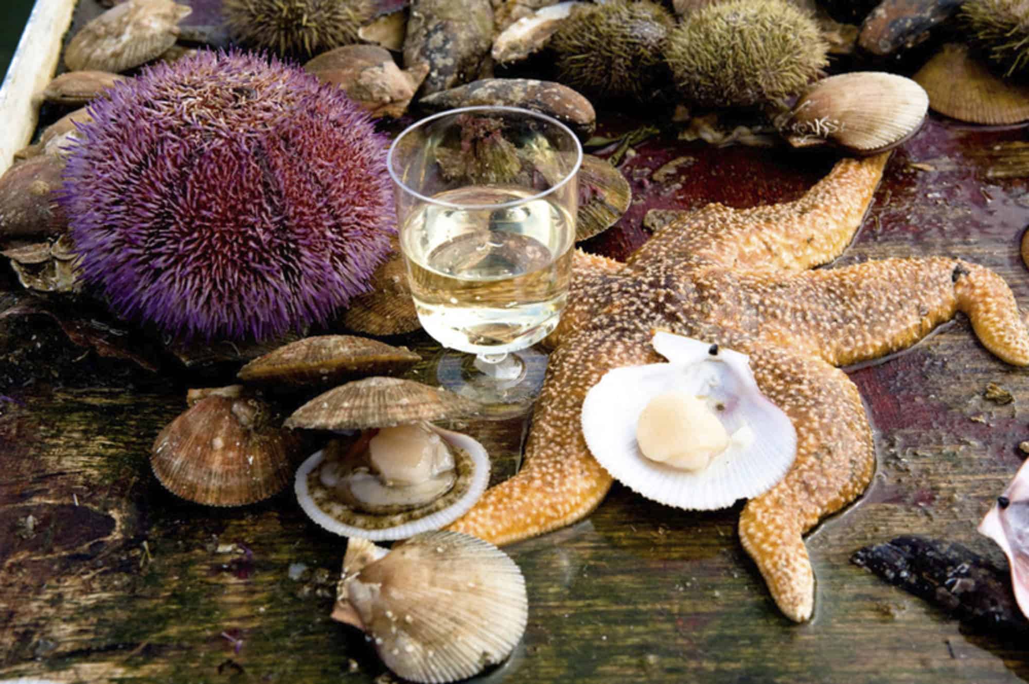 Norilskda fohishaga buyurtma bering Norilskda fohishaga buyurtma bering